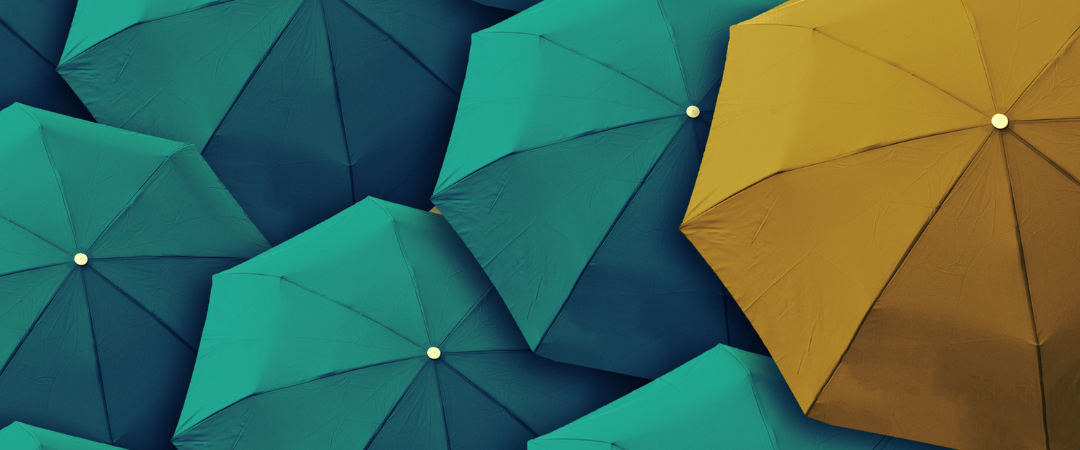 Leadership: Holding Decisions in Times of Growth (Dimension #2)