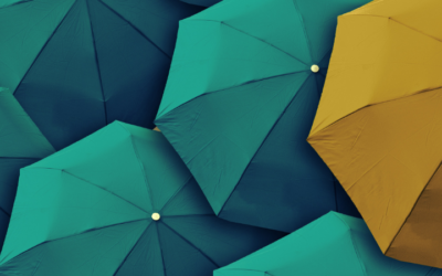 Leadership: Holding Decisions in Times of Growth (Dimension #2)