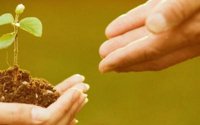 How Grant Funding Can Build a Stronger Organization